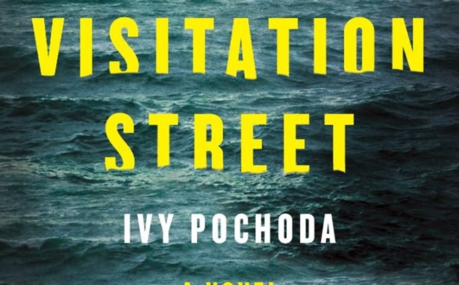 Visitation Street novel