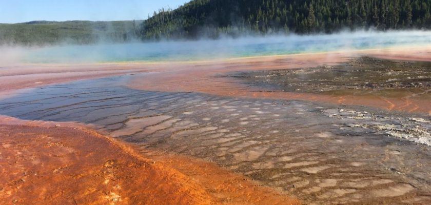 Grand Prismatic by Ramaa Reddy