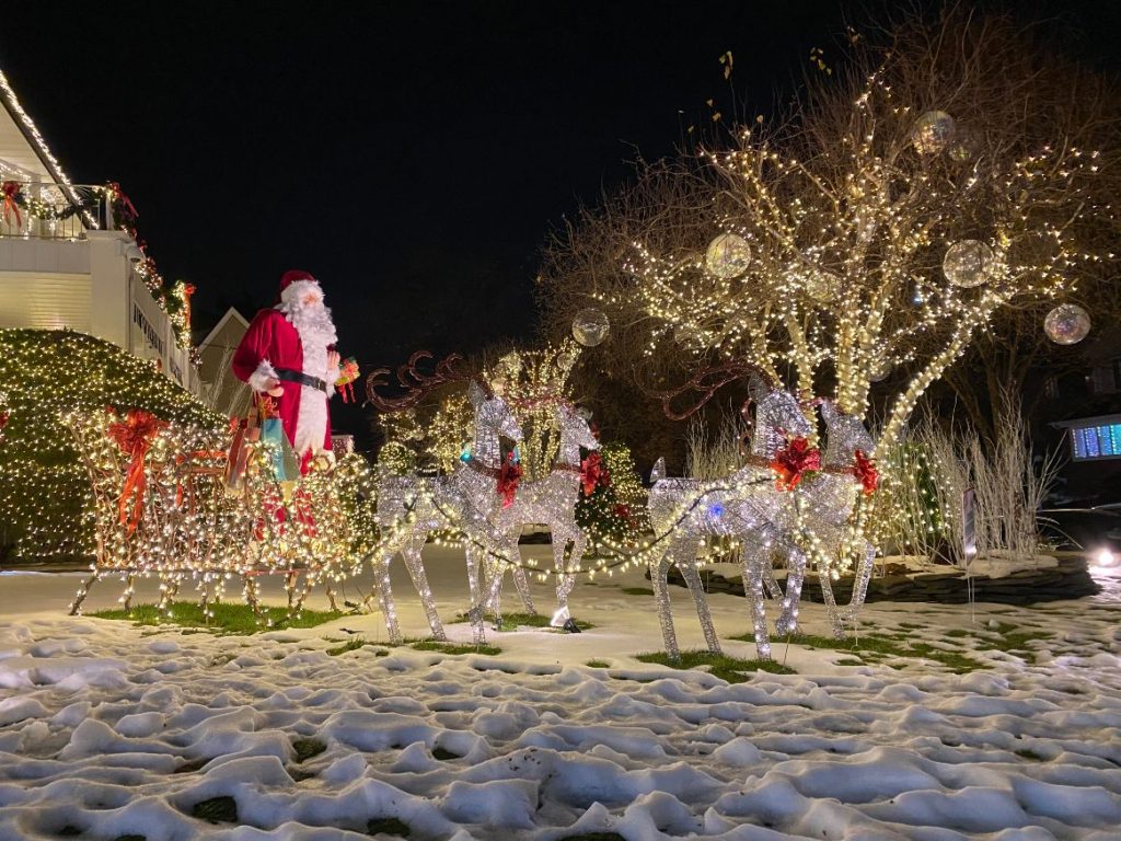 Dyker Heights 2020 Christmas by Ramaa Reddy