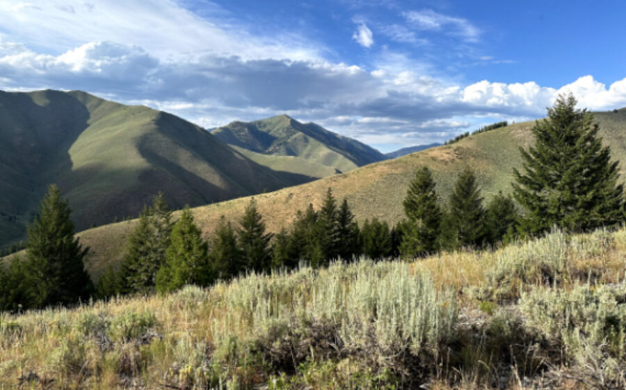 The mountains in Sun Valley, Idaho. Photo by Ramaa Reddy